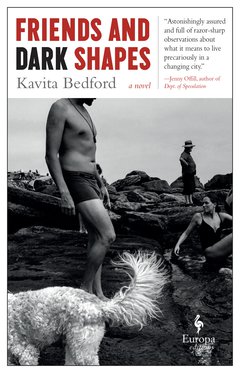 Cover: Friends and Dark Shapes - Kavita Bedford