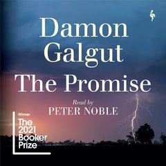 Cover: The Promise - Damon Galgut